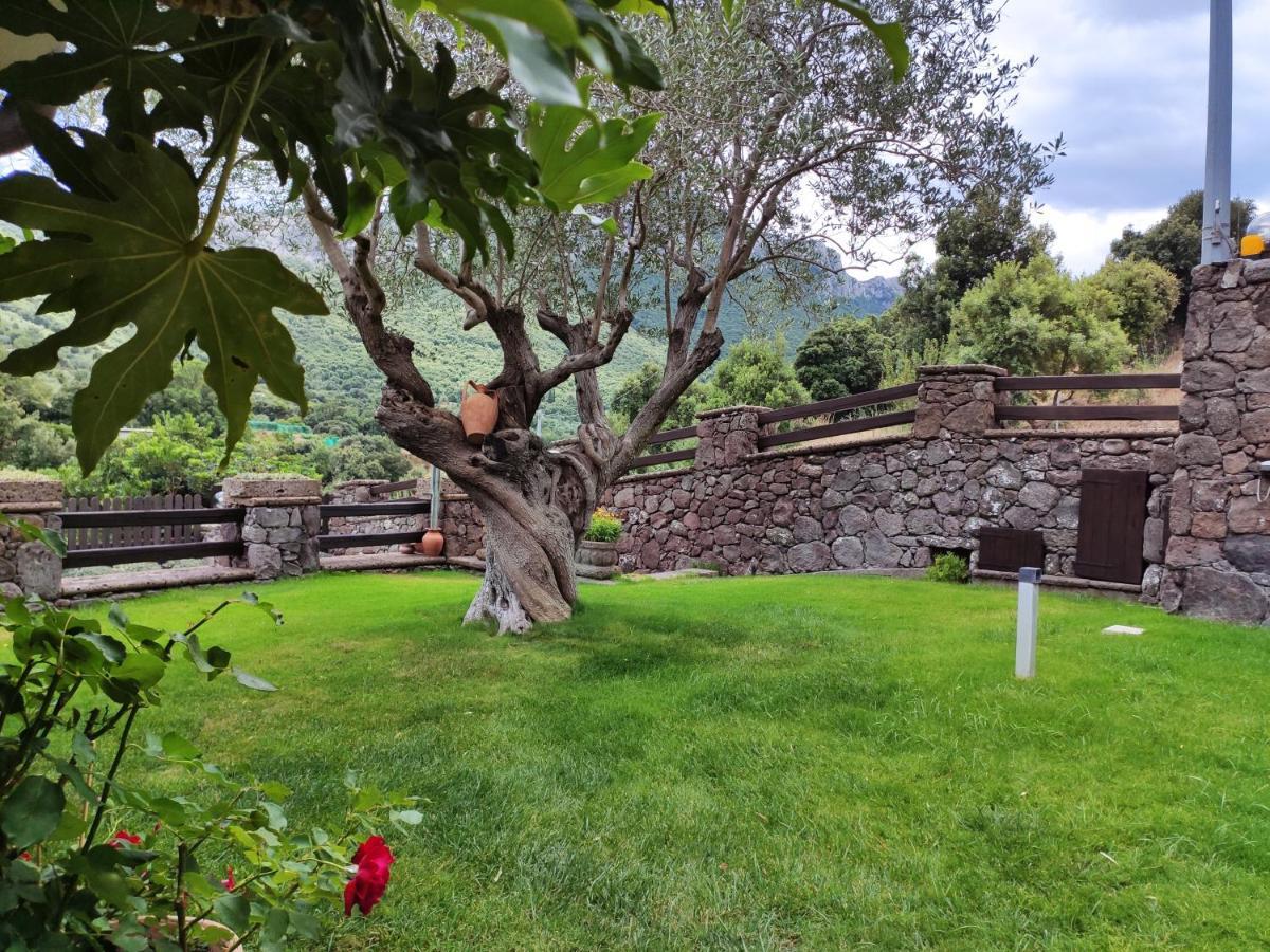 Villa Casa Bados Dorgali Exterior foto